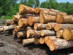 На Вологодчине появится завод деревянных комплектующих